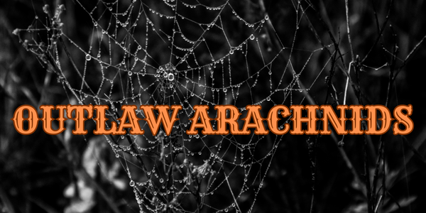 Outlaw Arachnids